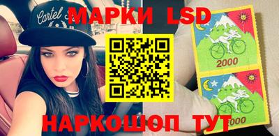 индика Надым