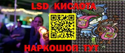 индика Надым