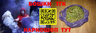индика Надым