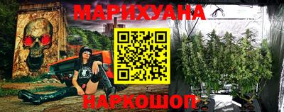 индика Надым