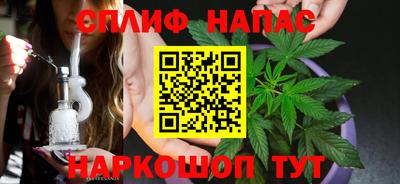 индика Надым