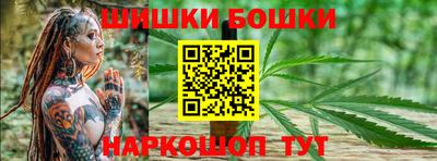 индика Надым