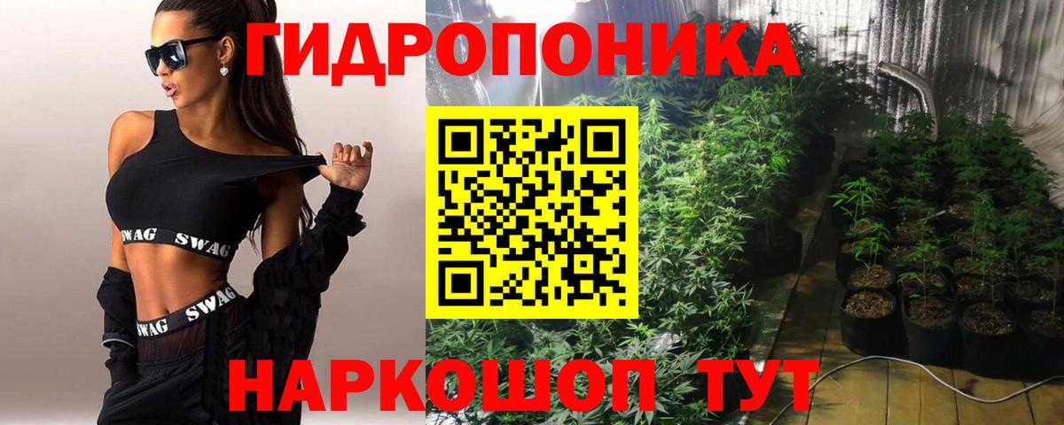 Шишки марихуана индика Аша